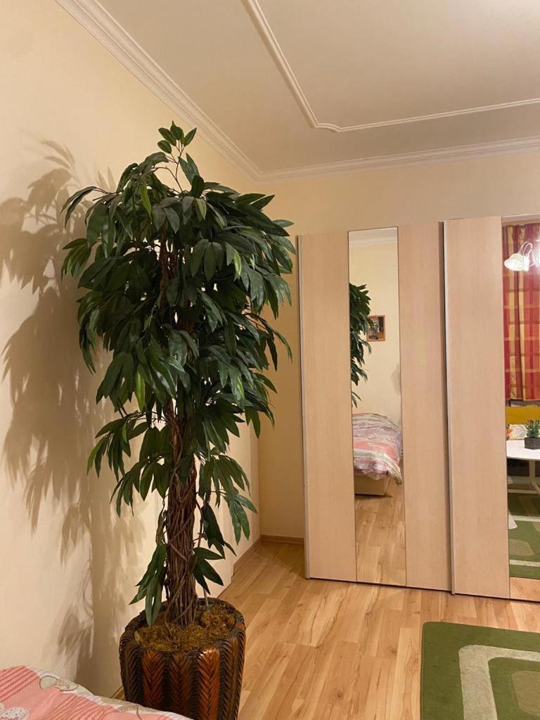 Apartment Albert Apartment Budapest